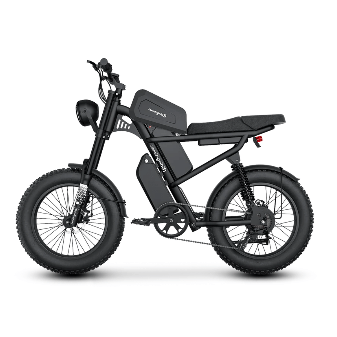 Dual Battery Ebikes